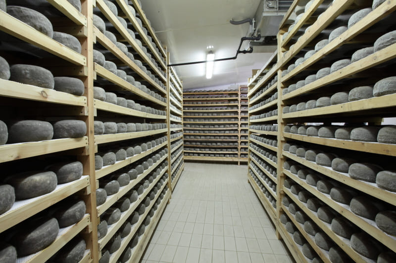 fromagerie elaboration fromage sant gil albio